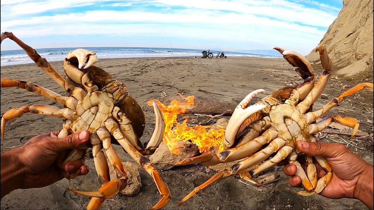 Cooking TWO HUGE Dungeness Crab on the Beach