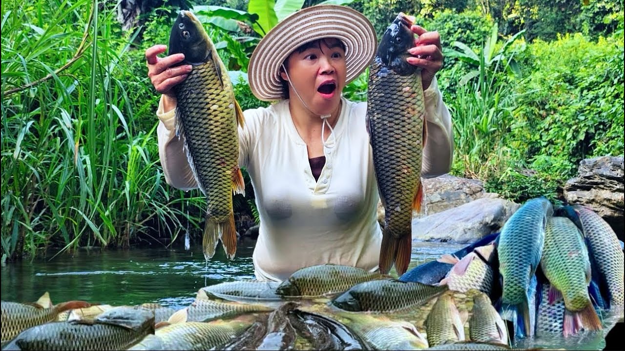 Draining a Wild Stream: Unexpected Mystery Discovered as Water Retreats - Catching Big Fish