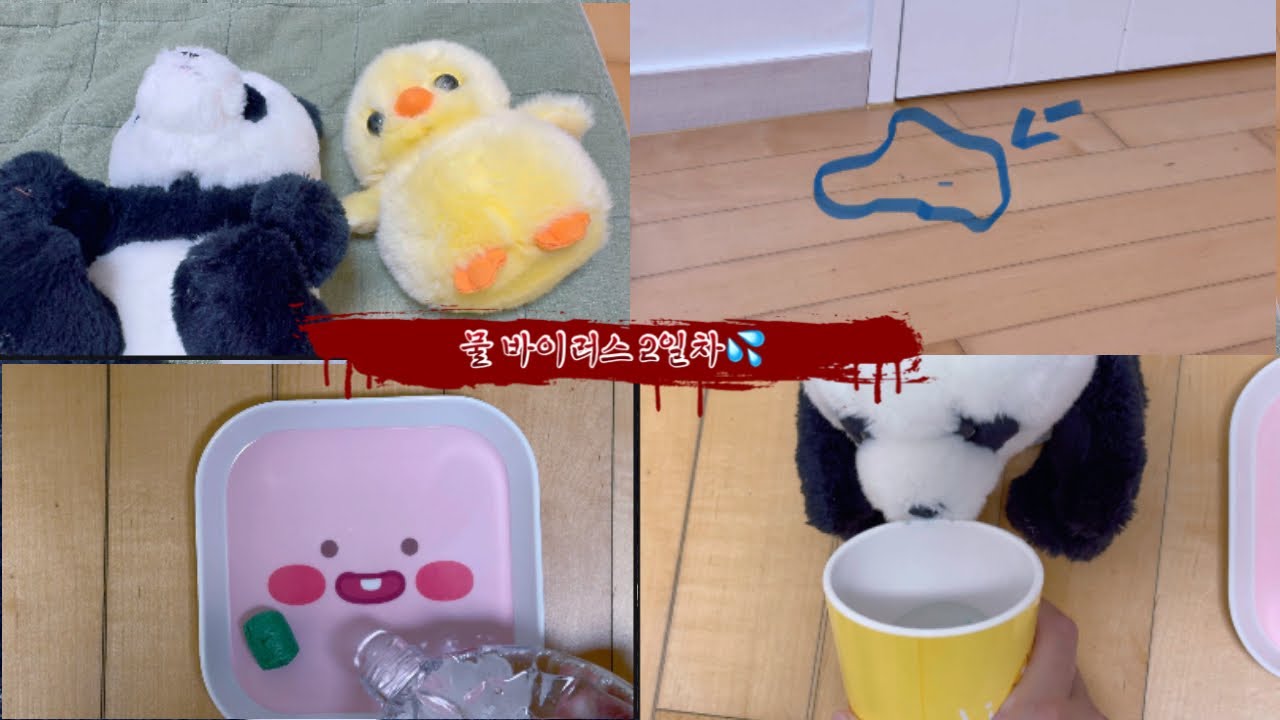 #물 바이러스 2일차😨💦#사이렌 소리 주의⚠️구독으롸면 기부가되요…..❤️(오늘의 일기님 음악)