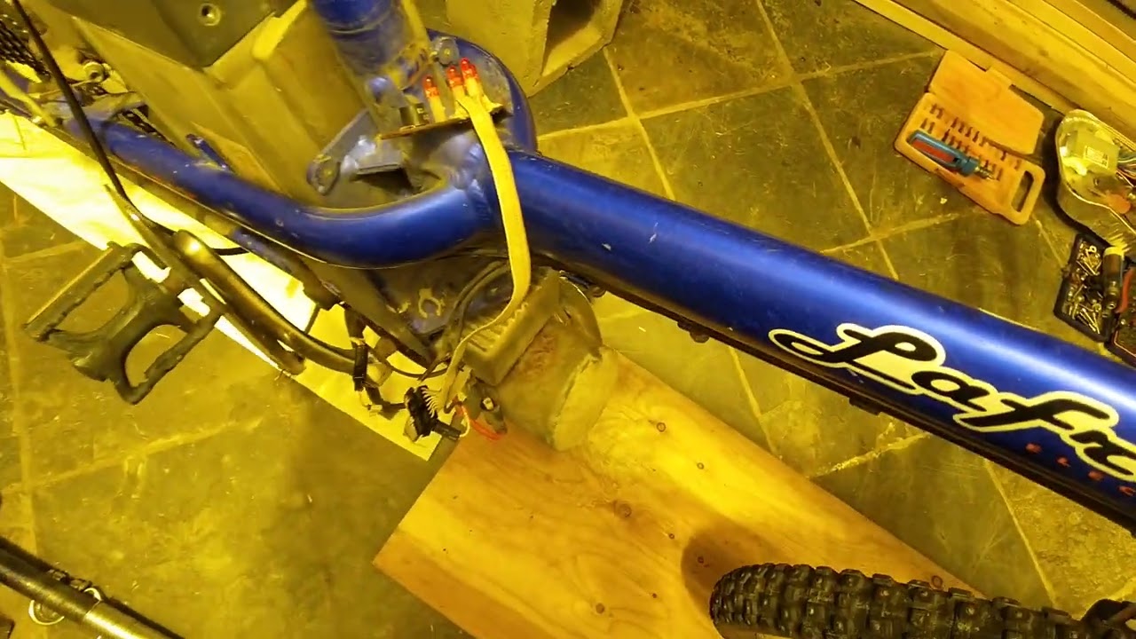 Giant Lafree Electric brushed motor
