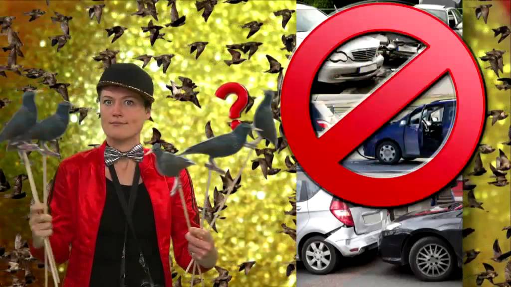 Waarom botsen spreeuwen in de zwerm nooit tegen elkaar? | Het Klokhuis