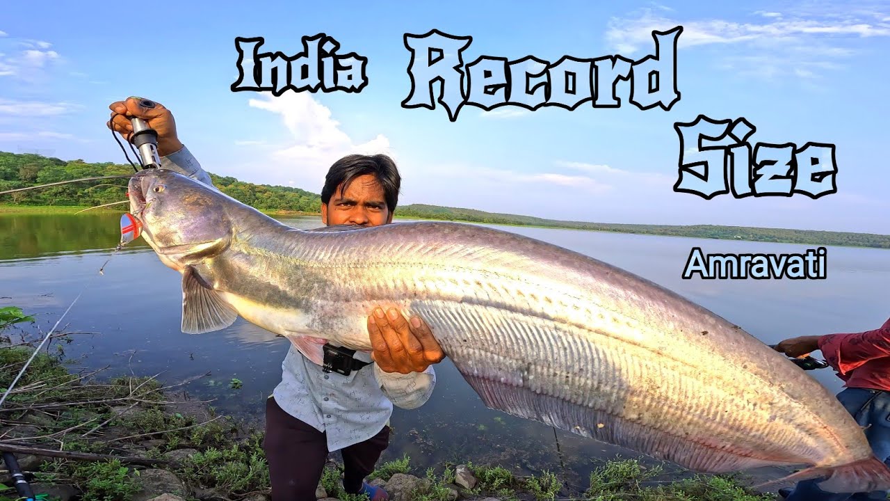 Record Size Monster 👹 Pathan | यहां है राक्षस मछलियों की दुनिया | Big Size Pathan Fishing Techniques