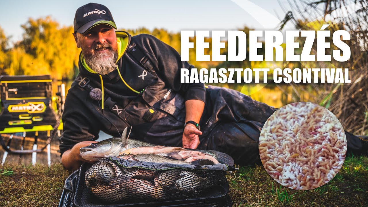 Hogyan horgásszunk RAGASZTOTT CSONTIVAL? - Feederezés alapok