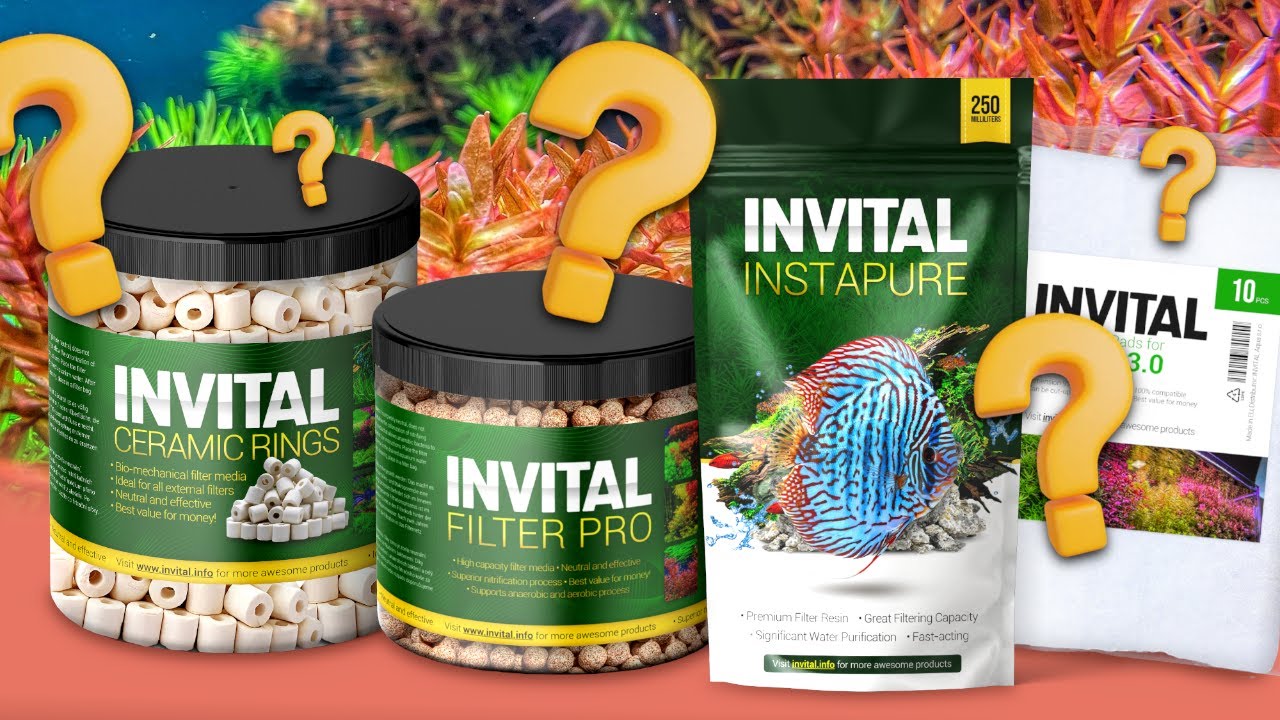 Jak vybrat filtrační materiály do akvarijního filtru | INVITAL