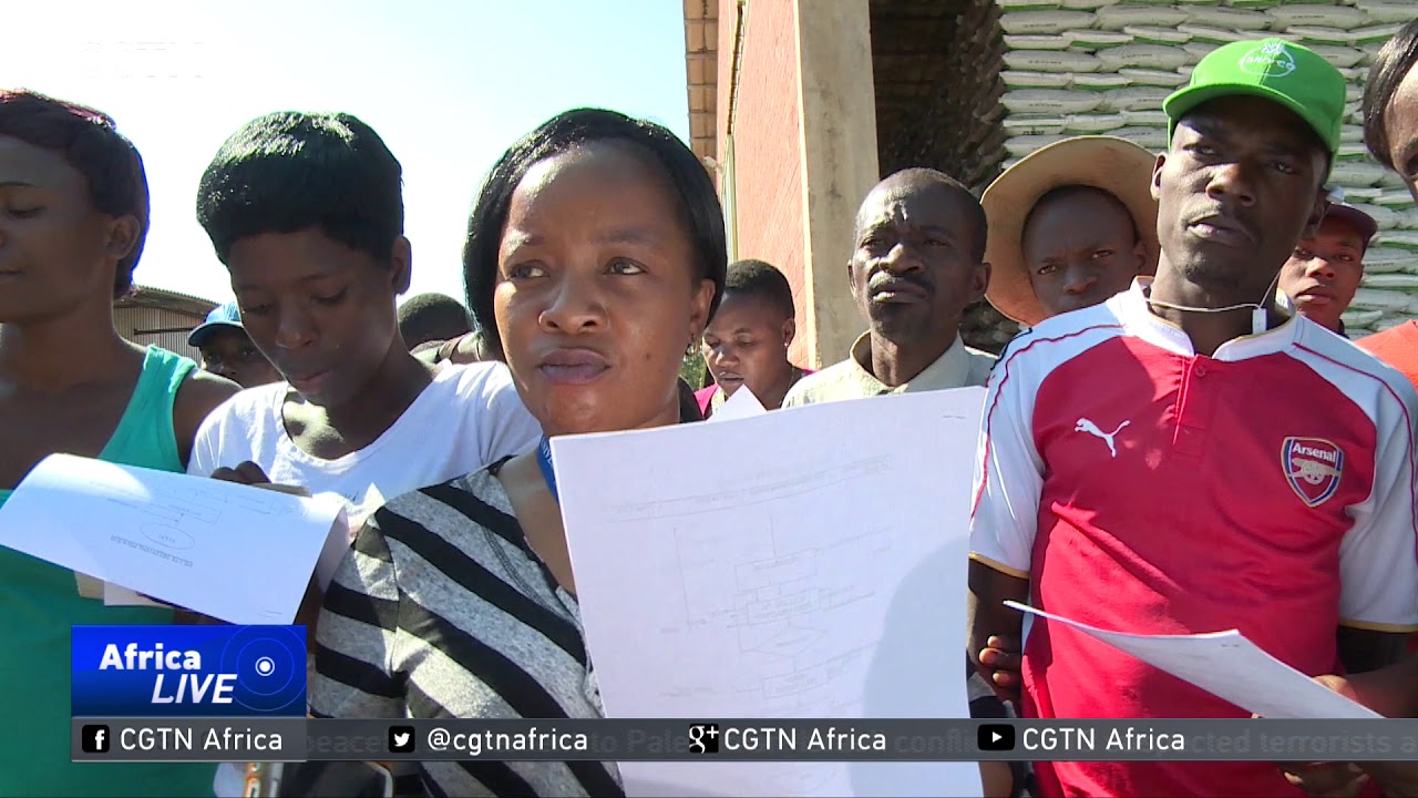 ZIMBABWE: Cotton production to increase after introduction of hybrid seeds