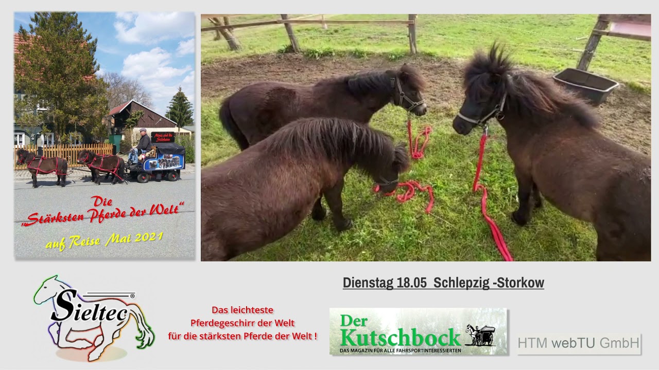 #Minis sind die St&auml;rksten Teil 3  dienstag von Schlepzig nach Gro&szlig; Eichholz