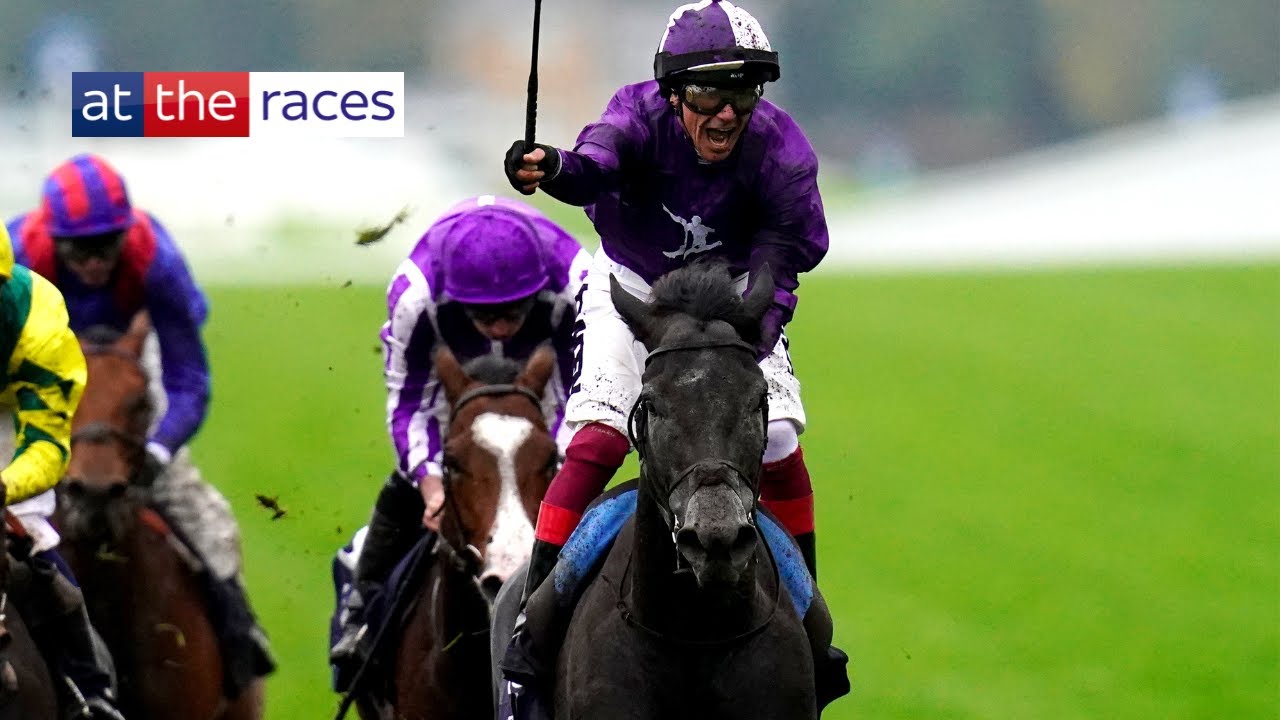 ФРЭНКИ ДЕТТОРИ выигрывает Champion Stakes на лошади KING OF STEEL во время своего последнего заез...