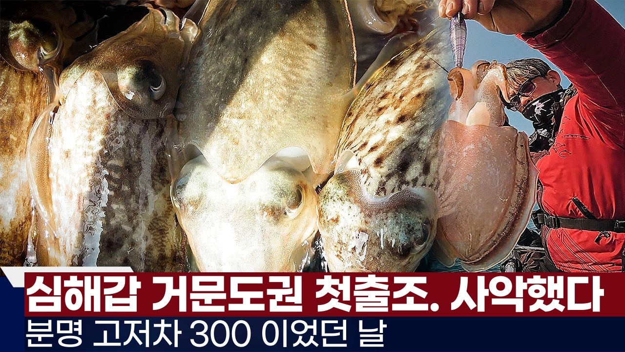 [풍낚TV] 거문도권 심해갑오징어/고저차 300인데 무슨일?/기본단차와 가짓줄의 길이/고흥 스페셜드림호/Cuttlefish War