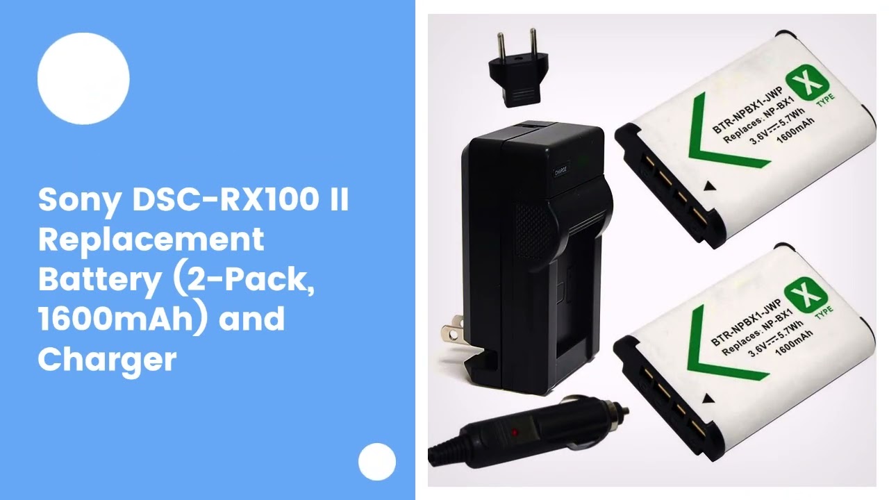 Sony DSC-RX100 II Replacement Battery (2-Pack, 1600mAh) and Charger