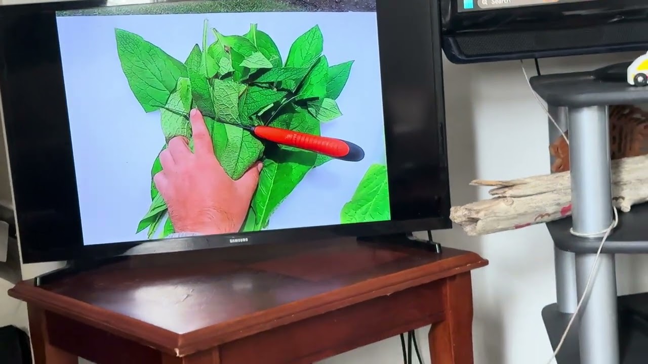 Sunday Vibes at Home