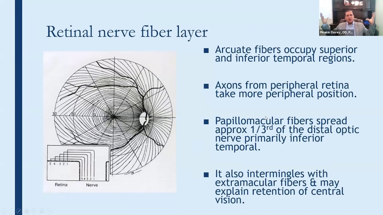 Webinar: Early detection of glaucomatous defects Screening and Structure Function correlations