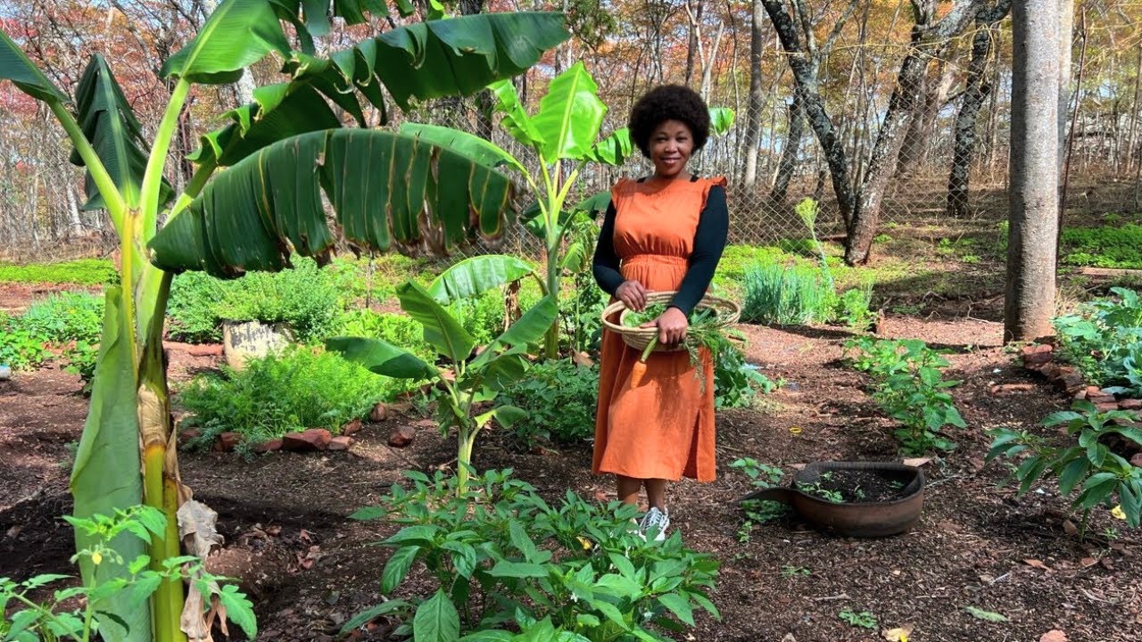 The Beauty Of Slow Living In Zimbabwe Countryside.