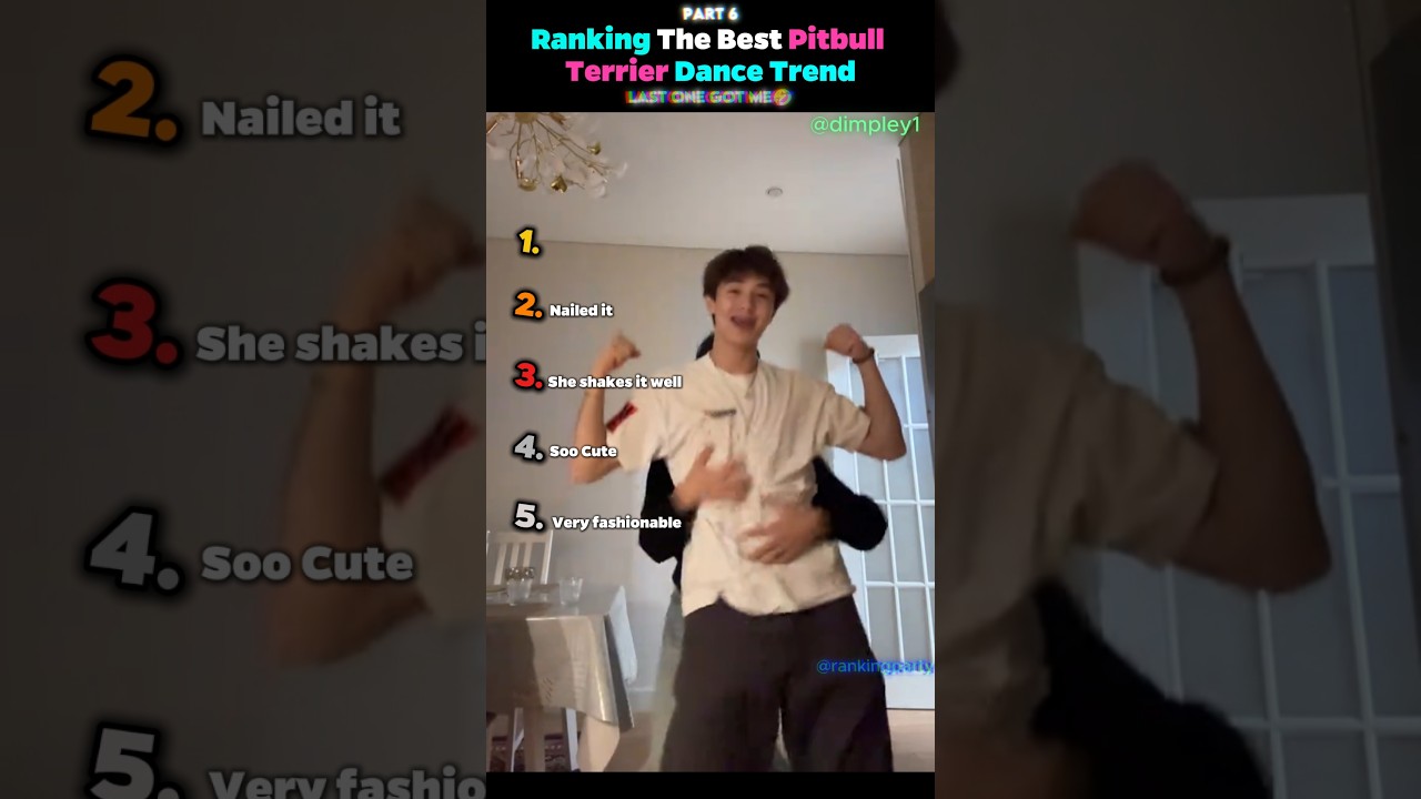 Ranking The Best Pitbull Terrier Dance Trend (PART 6)