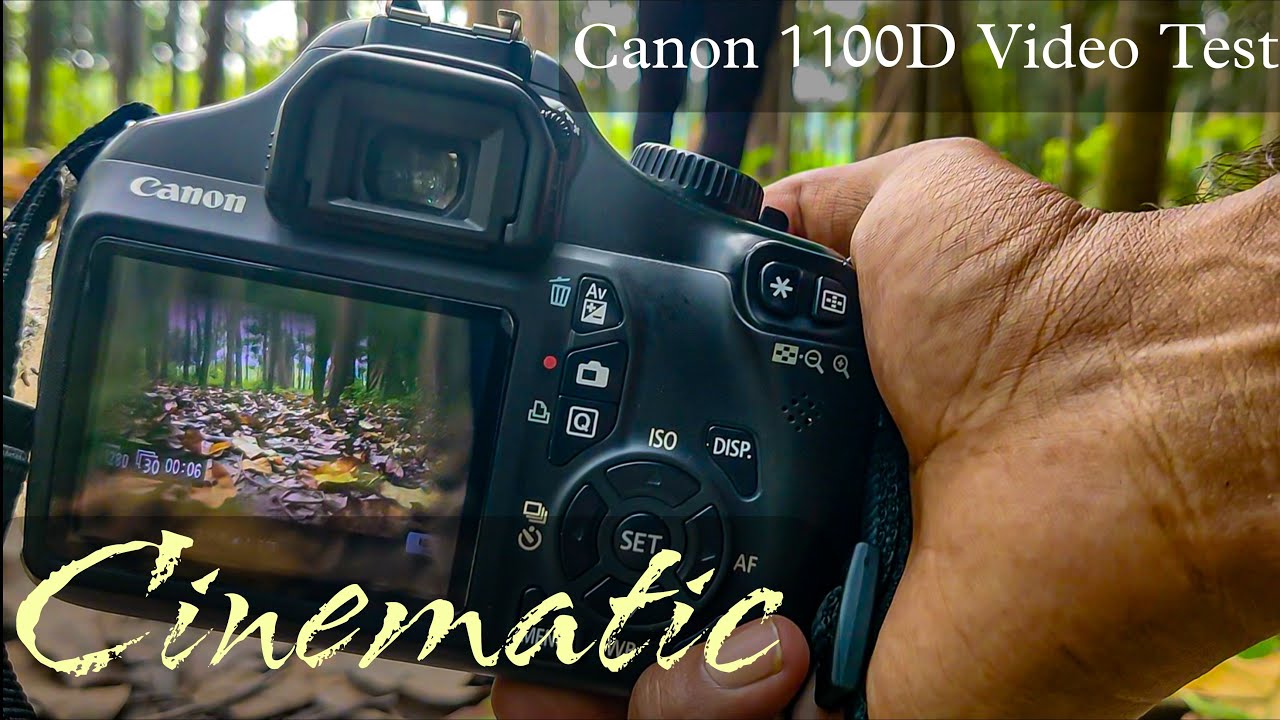 Canon 1100D Video Test With 18-55 Lens || Cinematic Video