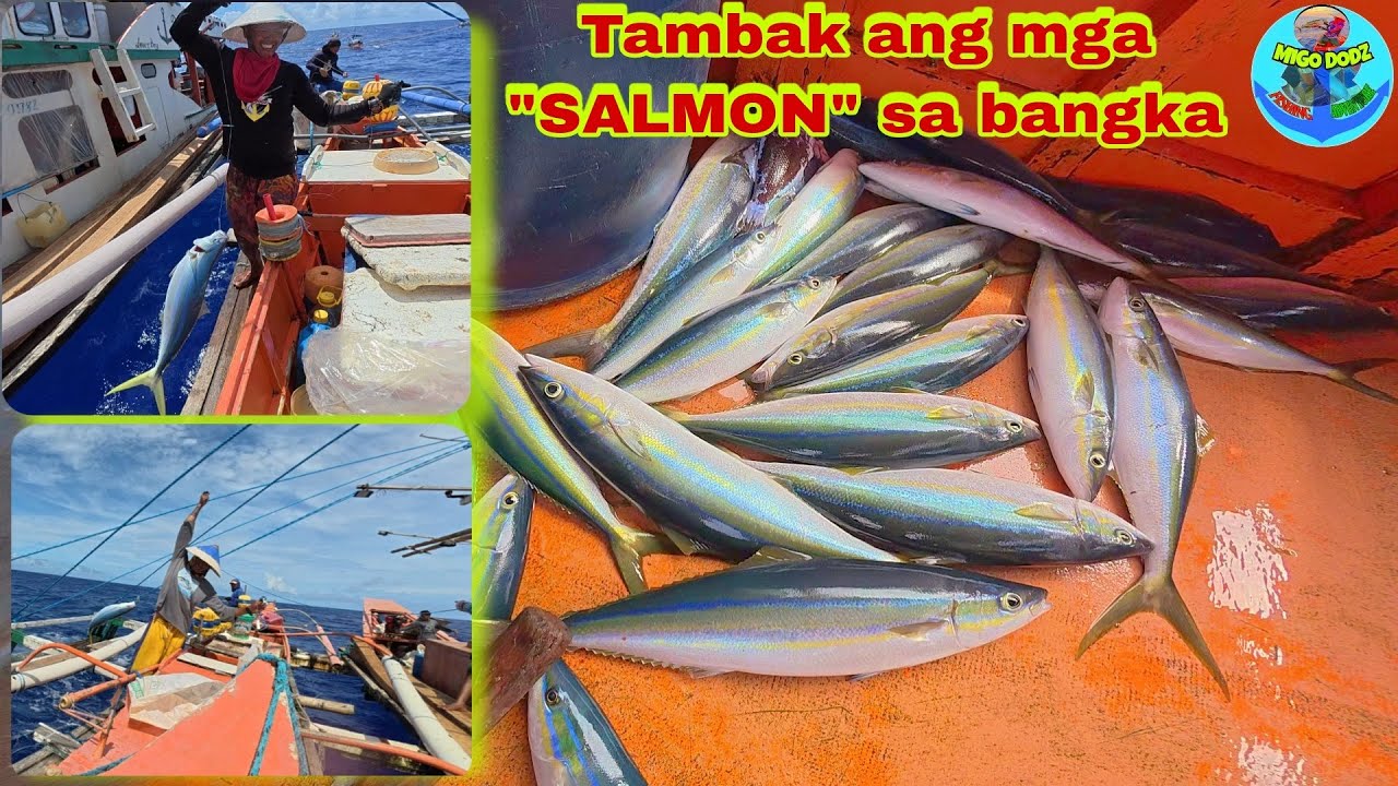 SAMAR adv. P3 | Hindi pinalagpas Ng mga salmon ang aming pamain |Tambak ang salmon sa mother boat