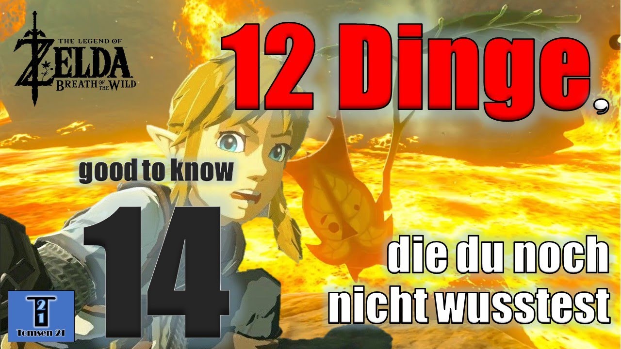 Good to Know #14 12 Dinge, die du noch nicht wusstest / Zelda BOTW