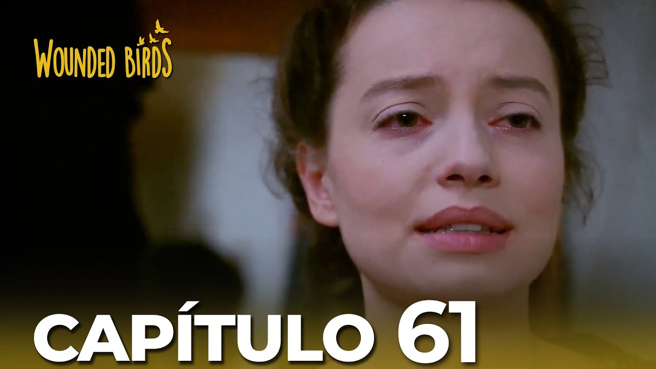 Omer Sueños Robados |  Capítulo 61