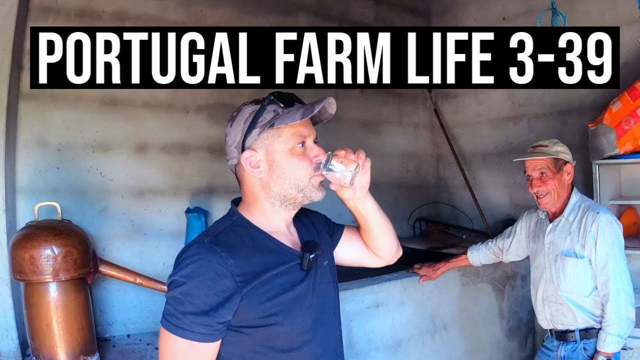 Distilling Aguardente from Grapes 🍷 Making Wine | PORTUGAL FARM LIFE S3-E39 🌞