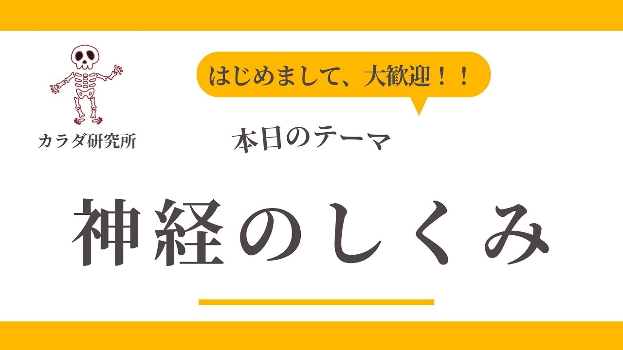 【神経】初心者でもわかる！神経の基本（役割・構造・種類・ケア方法）