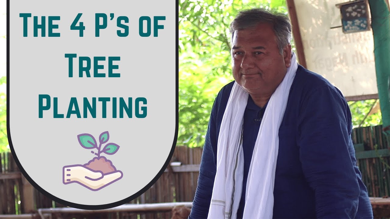 The basics of tree planting | 4 Ps of planting |Peepal Baba