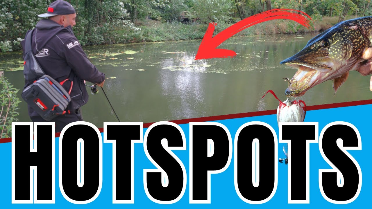 Angeln im Herbst: DIESE Hotspots musst du kennen!