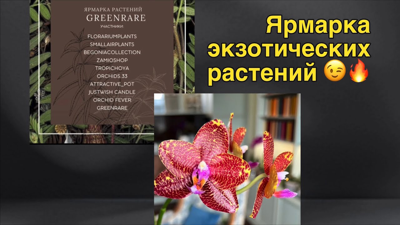 Ярмарка экзотических растений в Москве! 🔥🔥🔥