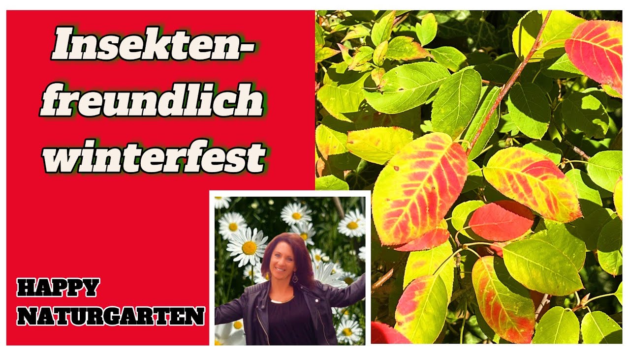 Garten + Insekten winterfit machen