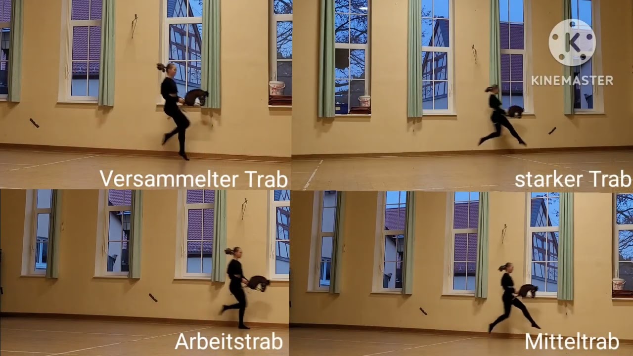 Trab, Mitteltrab, Starker Trab... [Hobbyhorse-Crashkurs] 👩🏼‍🏫 | _hobbyhorsing_de