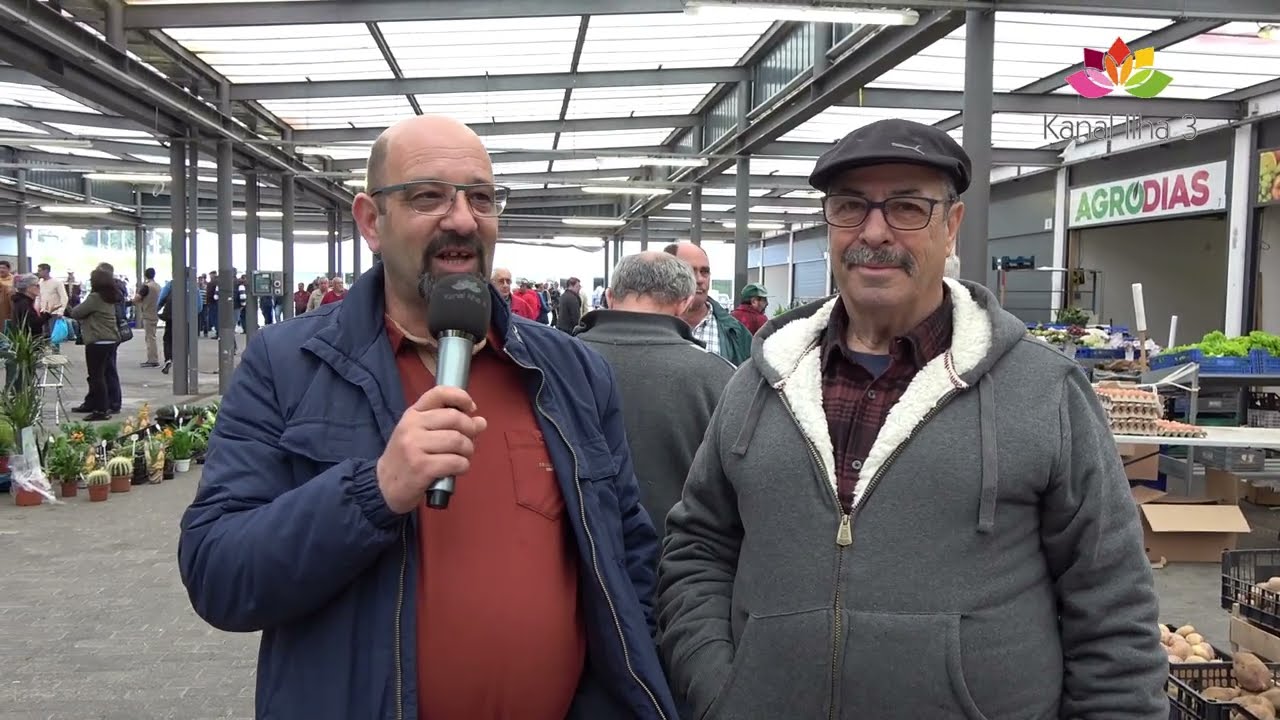 FEIRA GADO 19- 02- 2023