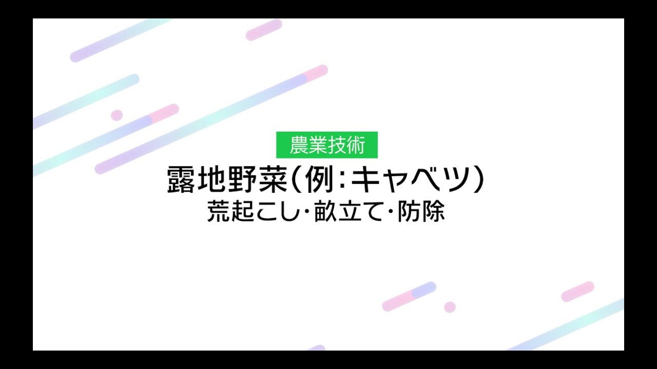 【農業】露地野菜（例キャベツ）荒起こし・畝立て・防除