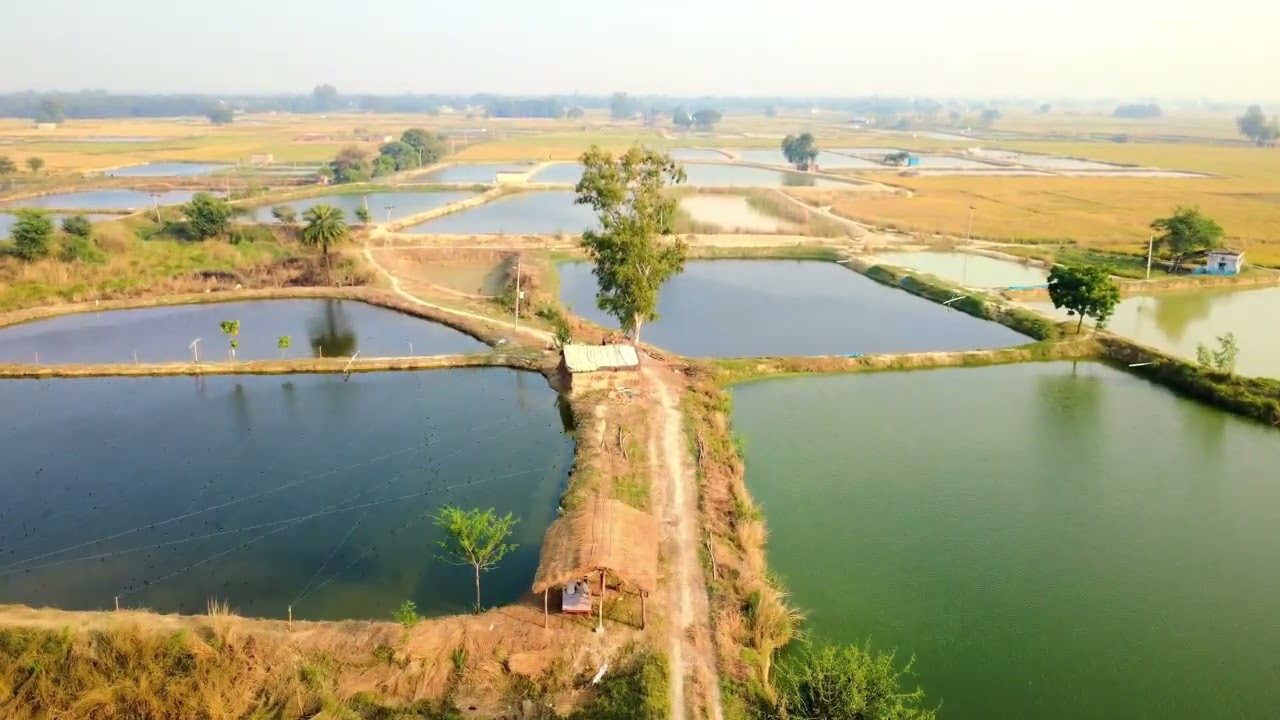 Stunning drone view in 4k 