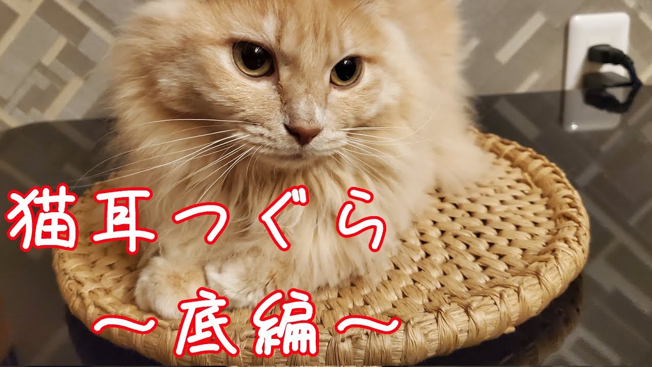 猫耳つき猫つぐら(猫ちぐら)の作り方～底編～