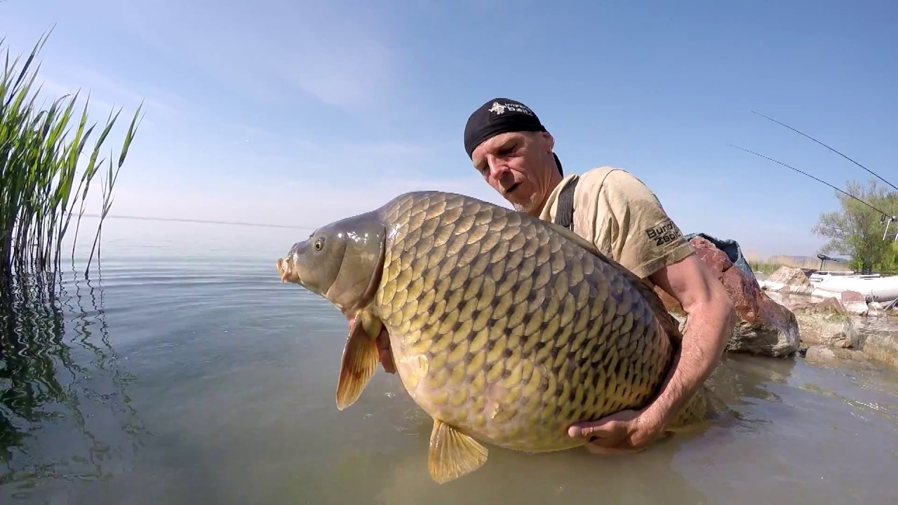 Carpfishing on big lakes in Europe - Zsolt Bundik