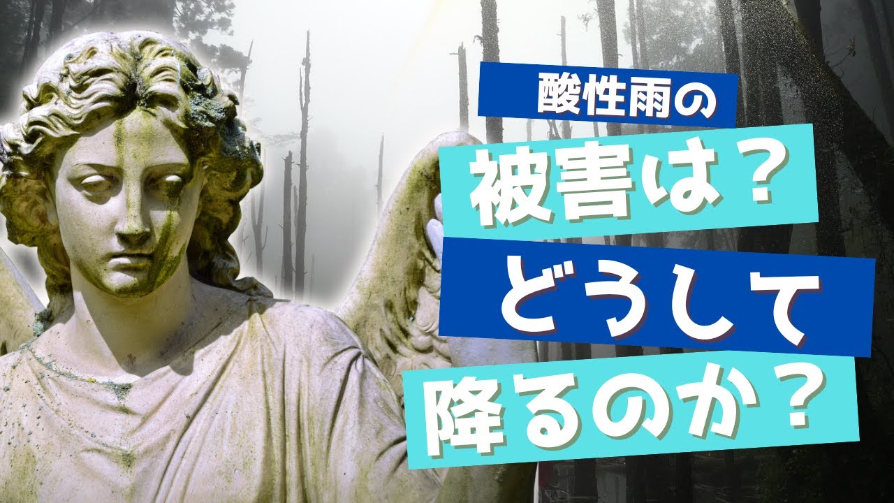 【環境問題】大地を枯らす雨、酸性雨が降るのはなぜなのか？