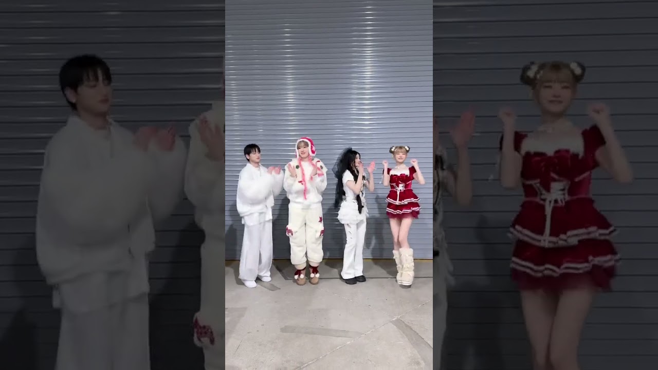 モルモット4匹が集まった！🐹 