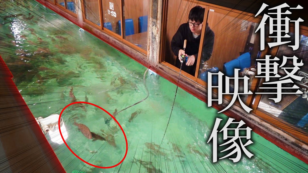 【絶対禁止】個室から、ビッグベイトで入れ食い状態！！！