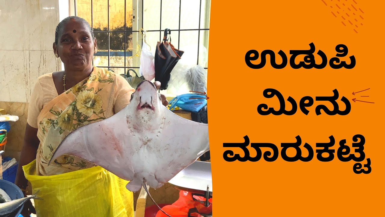 ಉಡುಪಿ ಮೀನು ಮಾರುಕಟ್ಟೆ  ಎಷ್ಟು ವಿಧದ ಮೀನುಗಳು ನೋಡಿ | UDUPI FISH MARKET