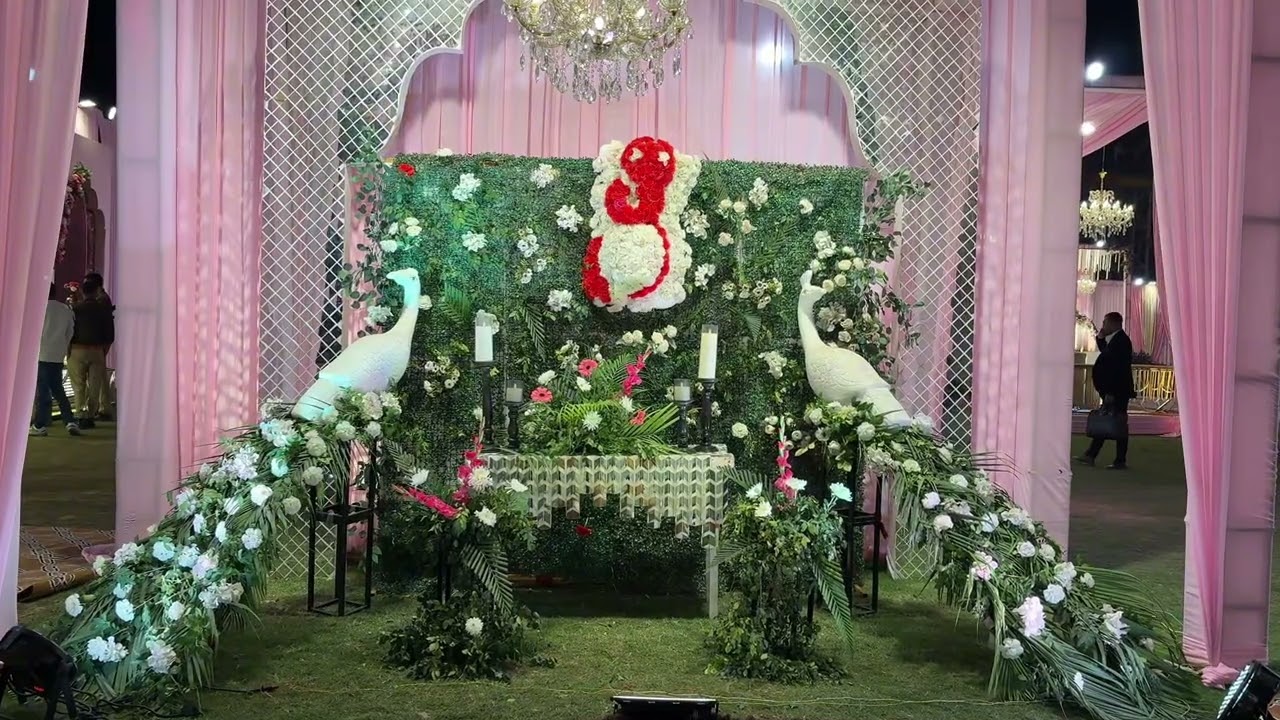 Janta decorator ✨