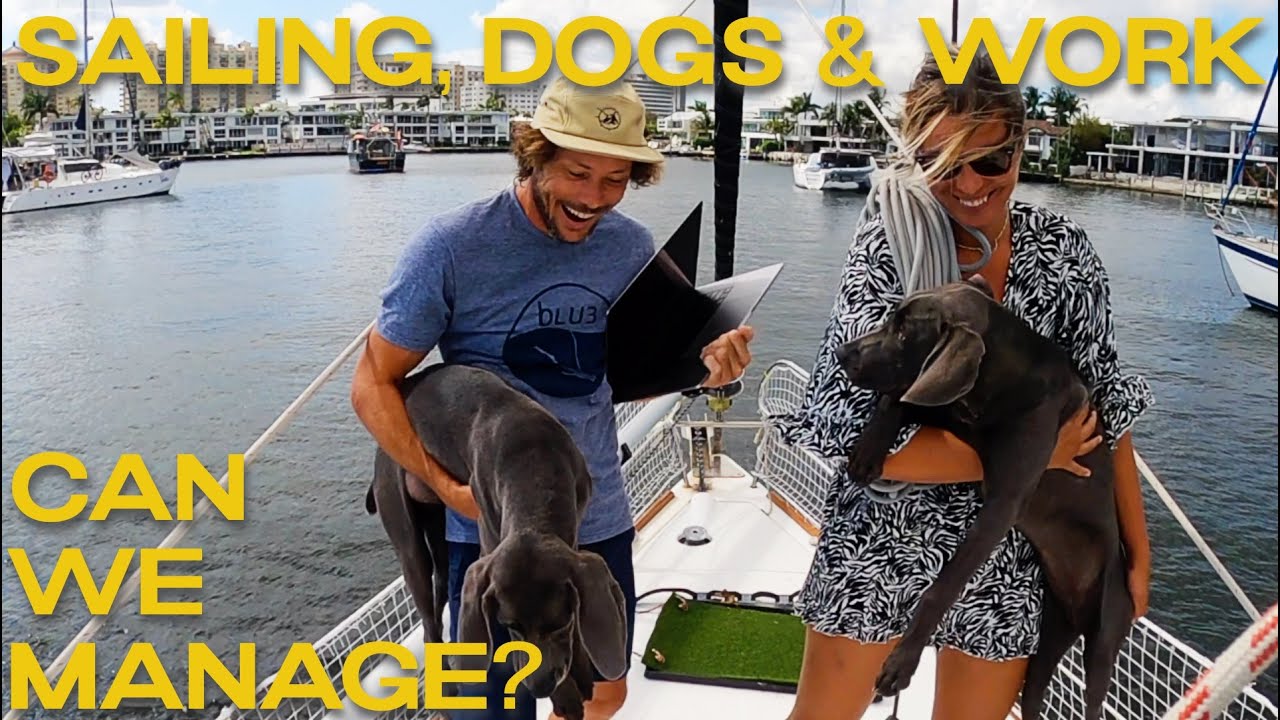 SAILING with DOGS is THE BEST EXPERIENCE | Sailing Zephyr - Ep. 172