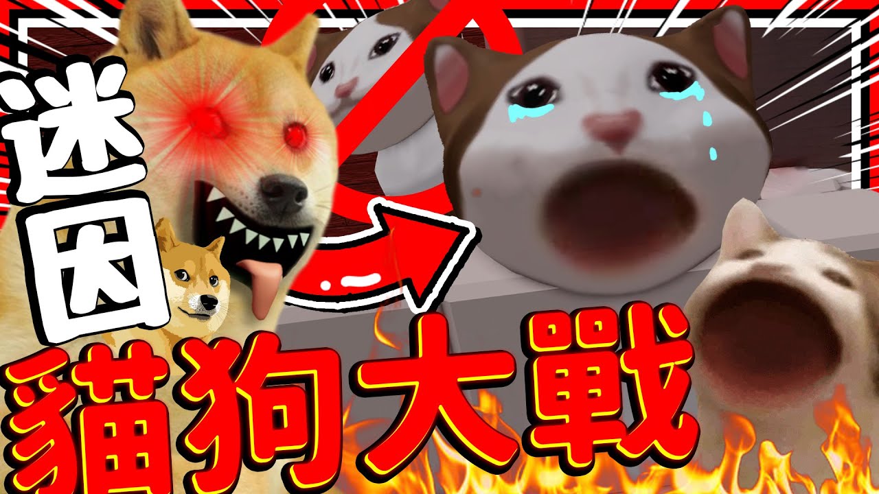 迷因貓咪大戰迷因狗狗?! 從巨大狗狗拯救可憐貓咪! 狗狗還是一隻魚?! ➤ 恐怖遊戲 ❥ Roblox - Doge Head Escape 狗頭逃跑