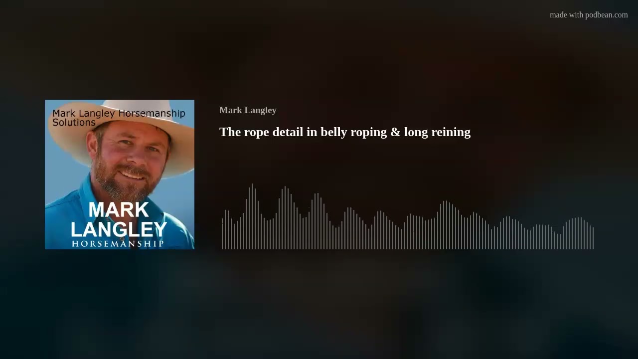 The rope detail in belly roping & long reining