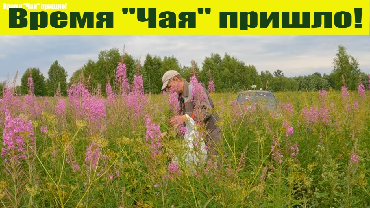 Как мы делаем и пьем 