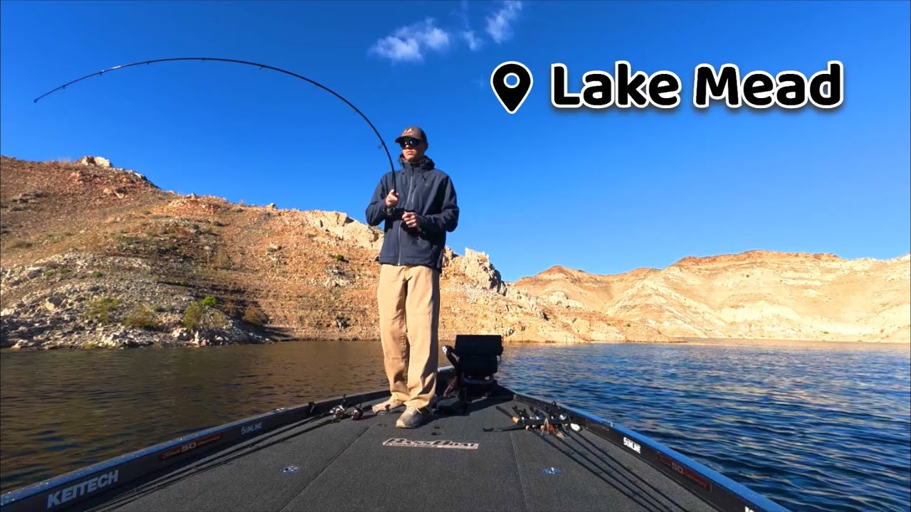 Lake Mead Fishing Report • SHALLOW Bite!