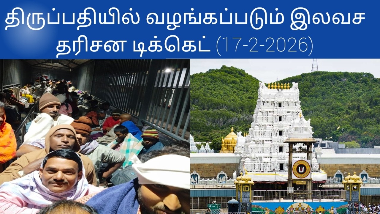 Tirupati updates today tamil | (17-2-2026)#tirupati