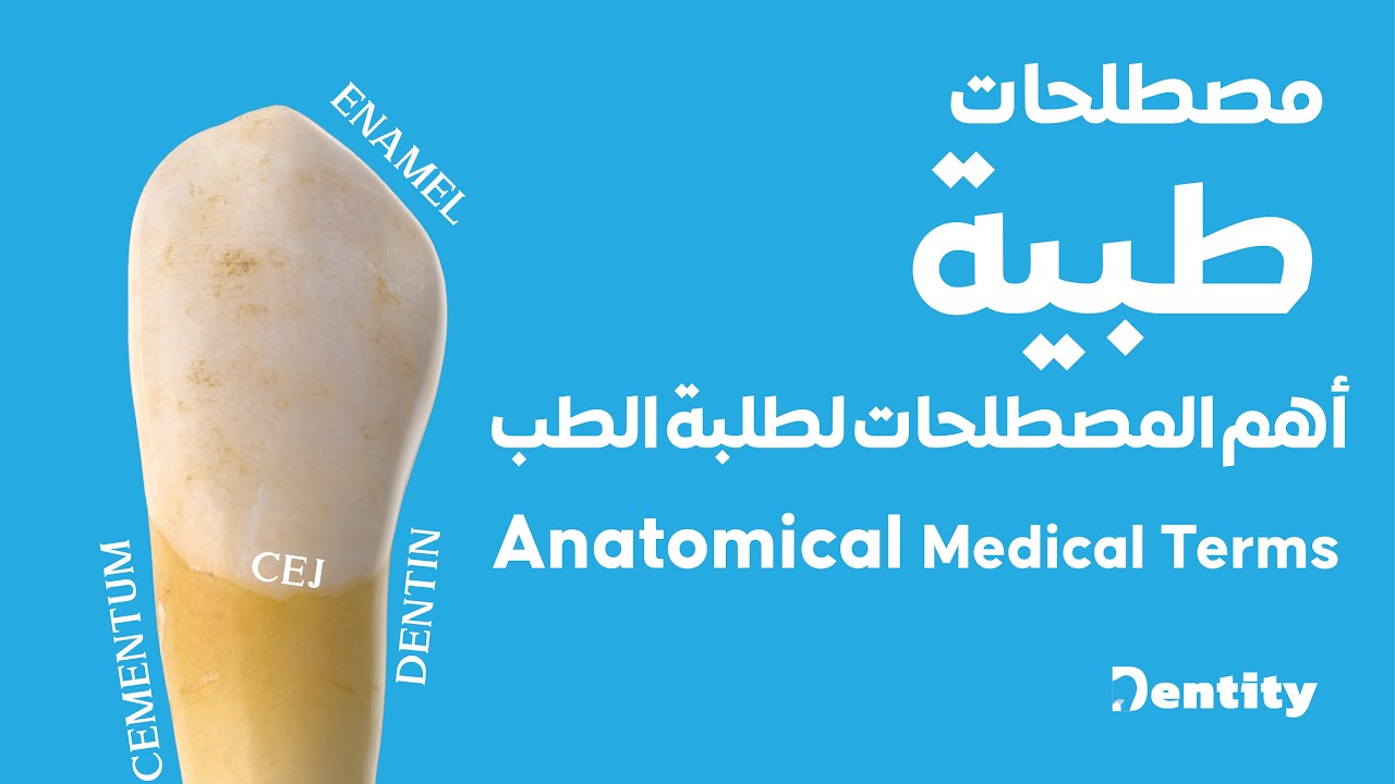 مصطلحات طبية [ درسك الأول ] في كلية الطب |  Anatomical Medical Terms