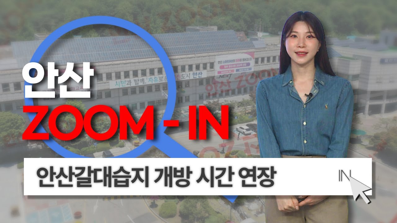 [안산줌인] 밤 10시까지 즐기는 자연 속 힐링 산책🦦🌿안산갈대습지 바람소리길 개방 시간 연장