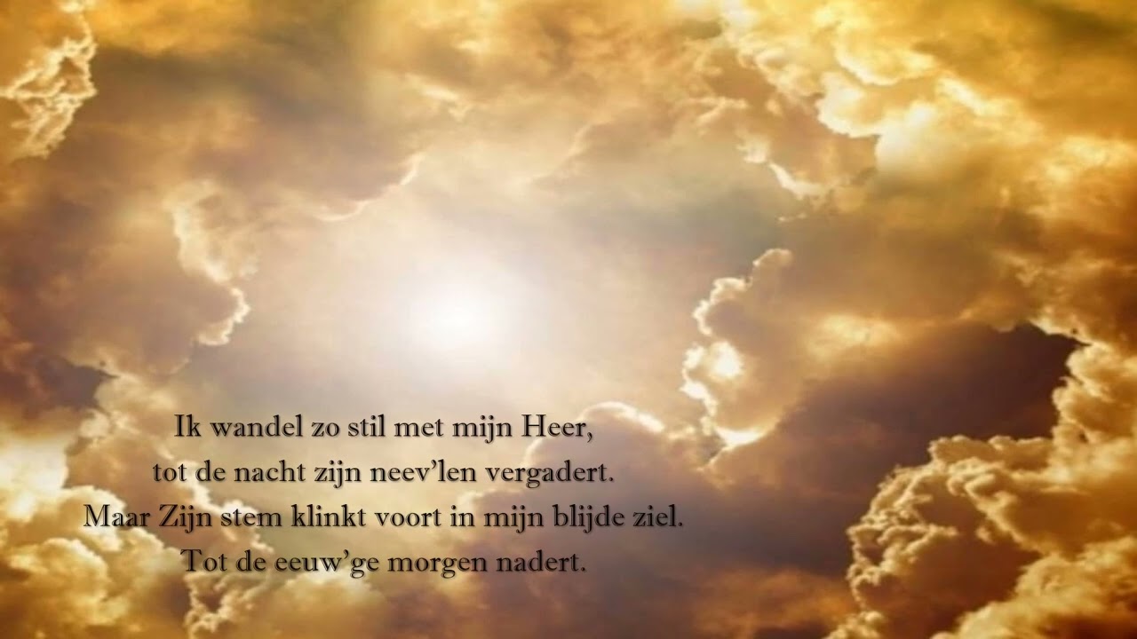 in de hof (glorieklokken 533)