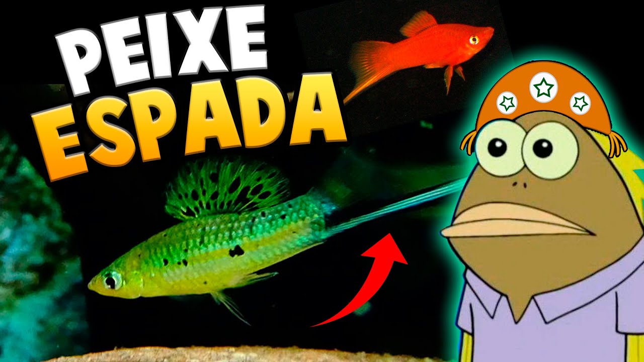 Você Conhece o Peixe Espadinha? (Xiphophorus helleri)