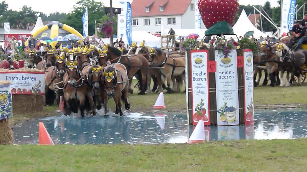 28 Titanen der Rennbahn vor einer Postkutsche, Brück, Juni 2014