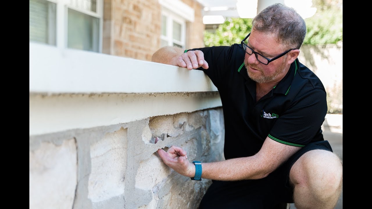 Why is salt damp such a big issue in South Australia?